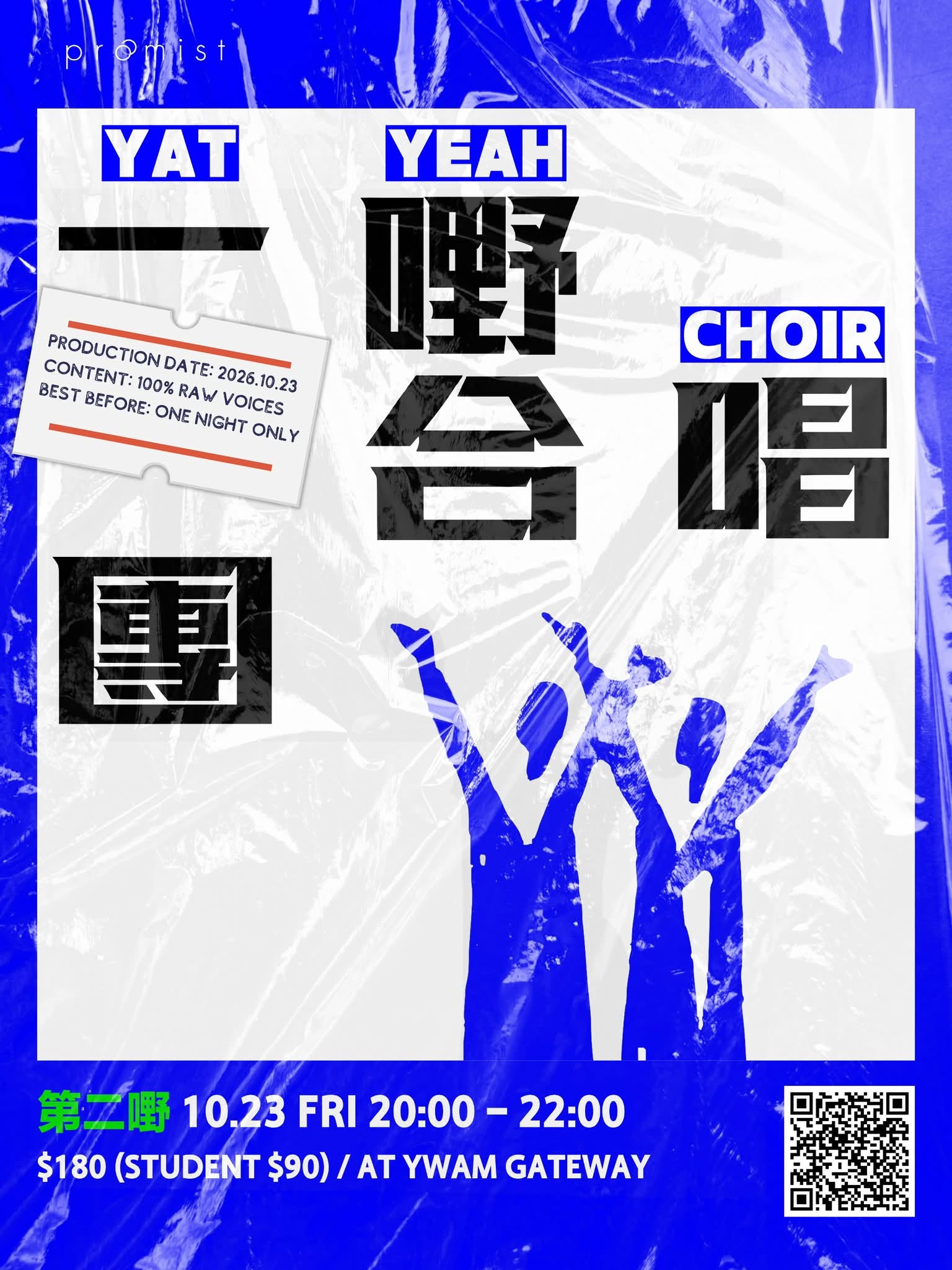 event_yat-yeah-choir2.jpg