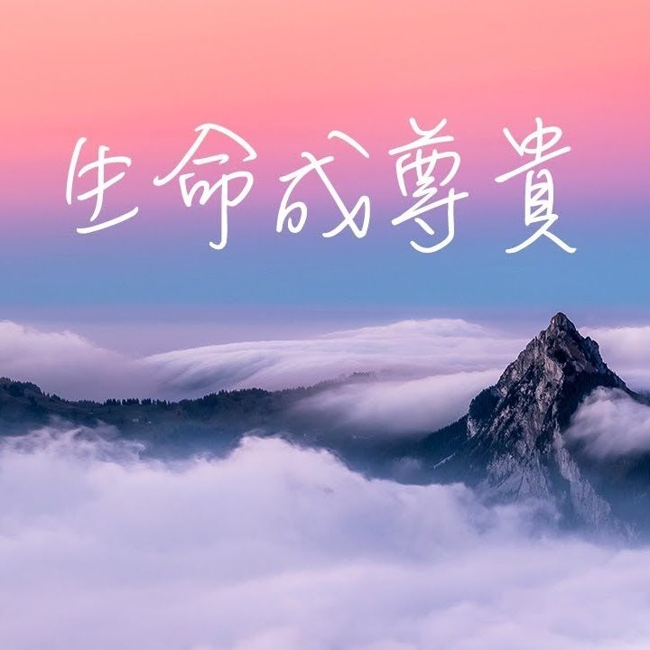 生命成尊貴