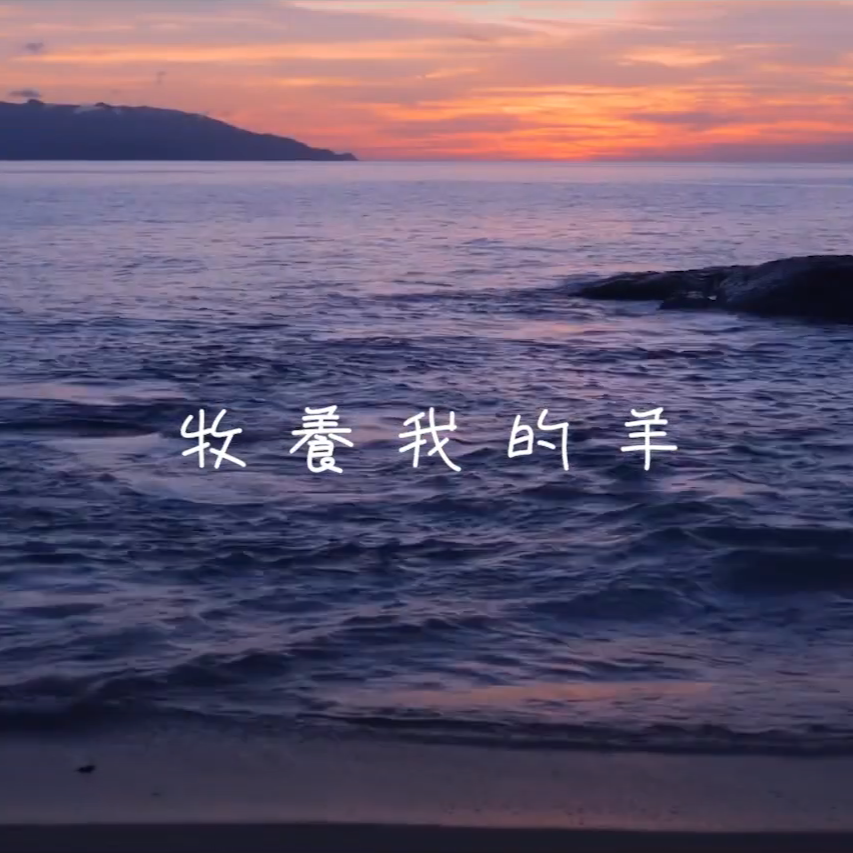 牧養我的羊