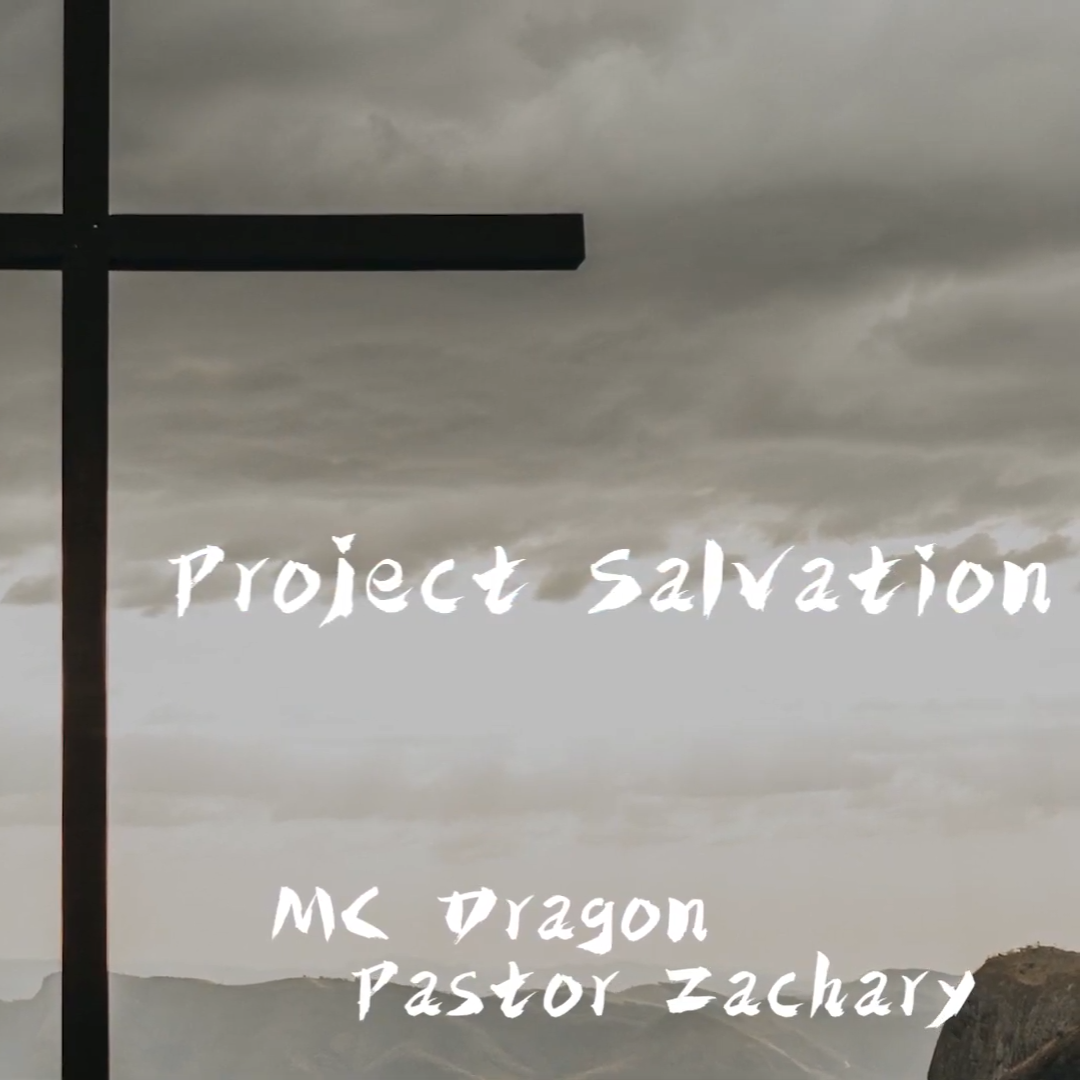 Project Salvation