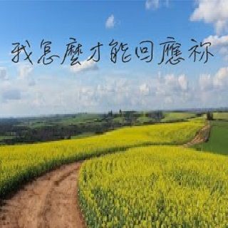 我怎麼才能回應祢